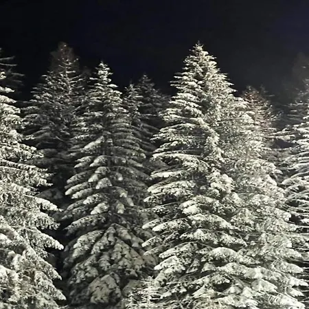 Ruhiges In Schwalefeld Mit Garten Apartment *