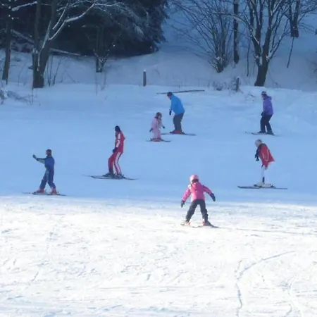 Ruhiges In Schwalefeld Mit Garten Апартаменты Виллинген