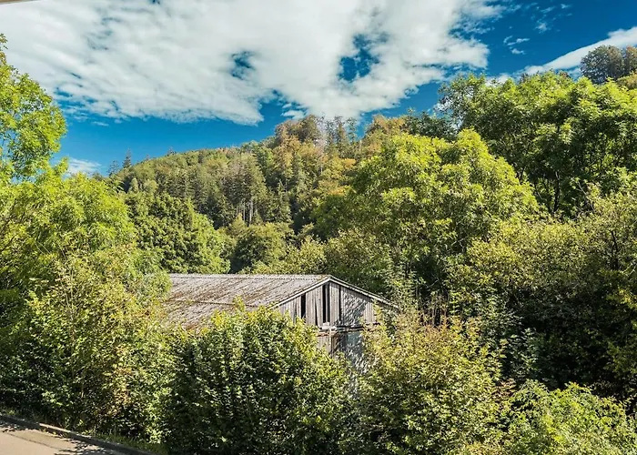 Ruhiges In Schwalefeld Mit Garten Apartament *