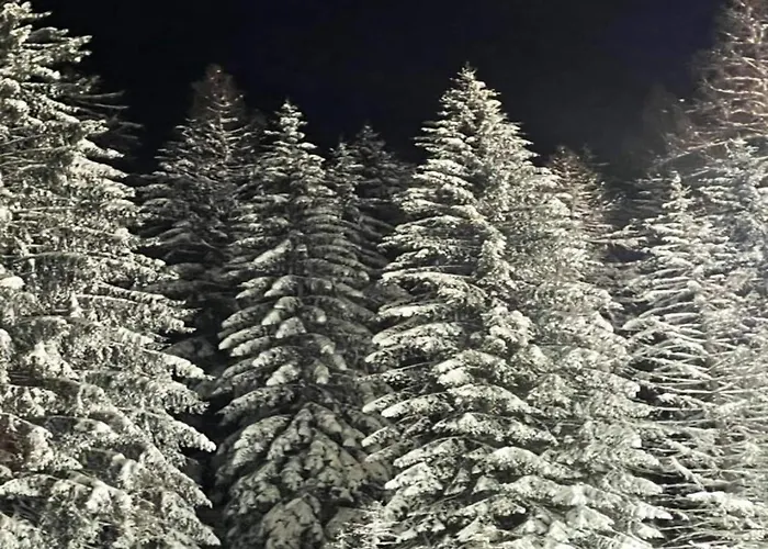 Ruhiges In Schwalefeld Mit Garten Apartament *